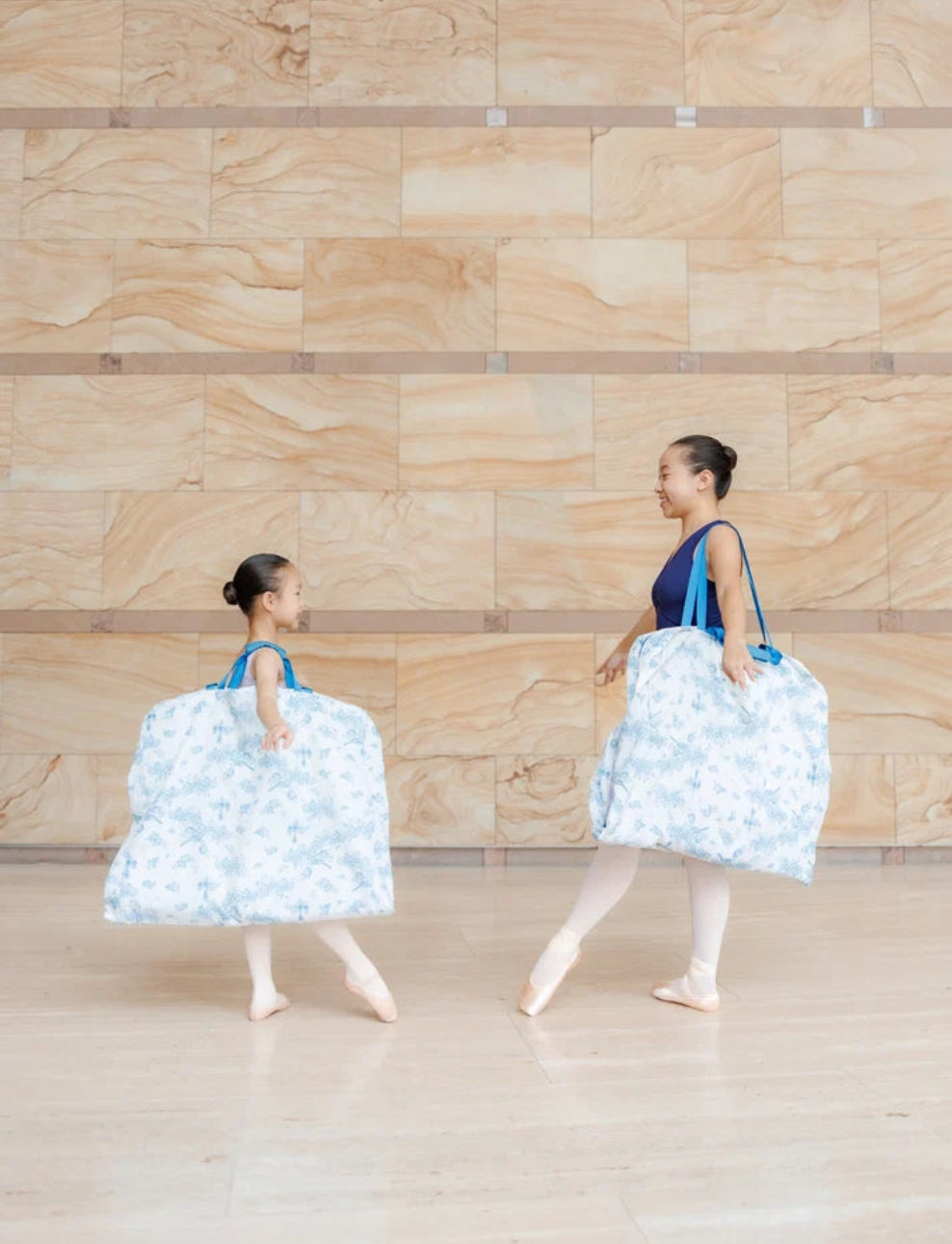 Princess Florine's Ballet Garment Bag